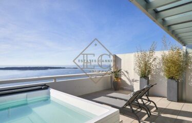 Cannes Californie – For Annulal or seasonal Rentals
