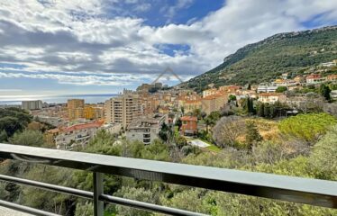 Appartement T2 proche Monaco à vendre avec magnifique vue mer