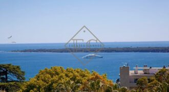 Luxury apartment with sea view and garden in Cannes , Californie