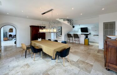 Charming house close old Mougins