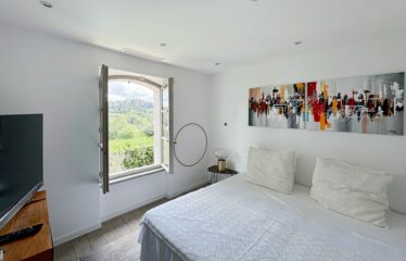 Charming house close old Mougins