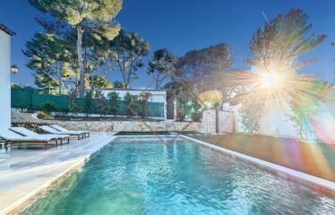Stunning Renovated Villa in Le Cannet