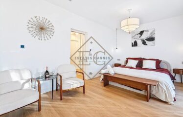 Stunning Renovated Villa in Le Cannet