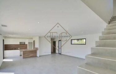 Splendeur Contemporaine à Mougins