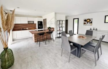 Splendeur Contemporaine à Mougins