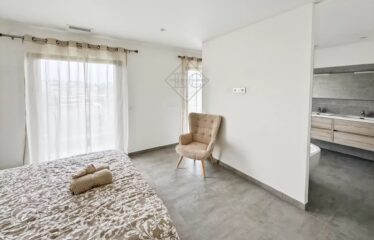 Splendeur Contemporaine à Mougins
